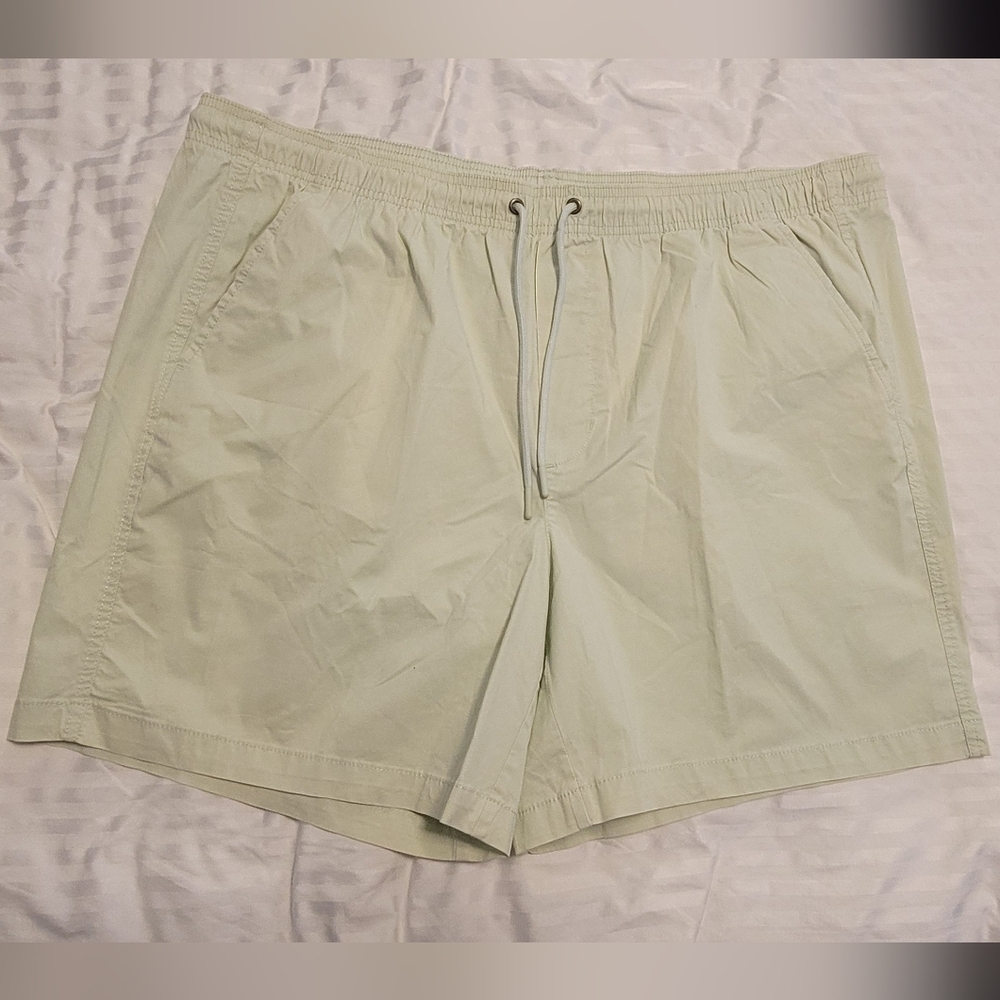 Men's Light Green Shorts